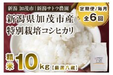 【令和6年産米】【定期便6ヶ月毎月お届け】化学肥料未使用の従来コシヒカリ【厳選八蔵10kg】特別栽培 有機肥料で育った厳選米 加茂市 新潟サトウ農園