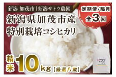 【令和6年産米】【定期便3ヶ月隔月お届け】化学肥料未使用の従来コシヒカリ【厳選八蔵10kg】特別栽培 有機肥料で育った厳選米 加茂市 新潟サトウ農園