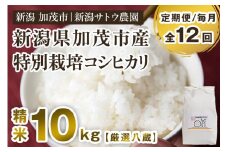 【令和6年産米】【定期便12ヶ月毎月お届け】化学肥料未使用の従来コシヒカリ【厳選八蔵10kg】特別栽培 有機肥料で育った厳選米 加茂市 新潟サトウ農園