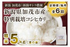 【令和6年産米】【定期便6ヶ月毎月お届け】化学肥料未使用の従来コシヒカリ【里の蔵5kg】特別栽培 有機肥料で育った厳選米 加茂市 新潟サトウ農園