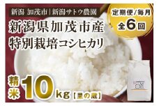 【令和6年産米】【定期便6ヶ月毎月お届け】化学肥料未使用の従来コシヒカリ【里の蔵10kg】特別栽培 有機肥料で育った厳選米 加茂市 新潟サトウ農園