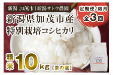 【令和6年産米】【定期便3ヶ月隔月お届け】化学肥料未使用の従来コシヒカリ【里の蔵10kg】特別栽培 有機肥料で育った厳選米 加茂市 新潟サトウ農園