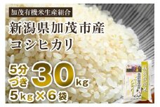 【令和6年産米】【5分づき】新潟県加茂市産 特別栽培米コシヒカリ 精米 30kg（5kg×6）  従来品種コシヒカリ 加茂有機米生産組合