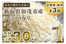 【令和6年産米】【定期便3回毎月お届け】【5分づき】新潟県加茂市産 特別栽培米コシヒカリ 精米 30kg（5kg×6）  従来品種コシヒカリ 加茂有機米生産組合