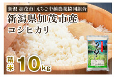 【令和5年産米】新潟産コシヒカリ なんかん育ち「こしひかり米」精米10kg 白米 七谷産 特別栽培米 えちご中越農業協同組合