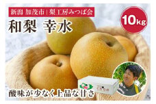 【2025年先行予約】新潟県産 和梨 幸水 10Kg（24～36玉） 《8月中旬以降発送》こうすい 果物 フルーツギフト 秋の味覚 加茂市 梨工房みつば会