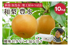 【2025年先行予約】新潟県産 和梨 豊水 10kg（20～32玉） 《9月上旬以降発送》ほうすい 果物 フルーツギフト 秋の味覚 加茂市 梨工房みつば会