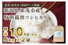 【令和6年産米】化学肥料不使用の従来コシヒカリ【麻蔵10kg】特別栽培 有機肥料で育った厳選米  加茂市 新潟サトウ農園