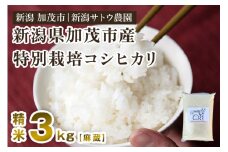 【令和6年産米】化学肥料不使用の従来コシヒカリ【麻蔵3kg】特別栽培 有機肥料で育った厳選米  加茂市 新潟サトウ農園