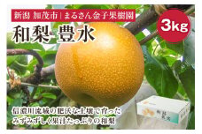 【2024年】【贈答用】和梨 豊水 3kg（6〜10玉）《9月上旬から順次発送》 果物 なし 梨 フルーツ 新鮮 産地 加茂市 まるさん金子果樹園