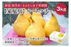 【2024年】【家庭用】ル・レクチェ 3kg（8〜11玉）《11月下旬から順次発送》 果物 梨 洋梨 西洋梨 フルーツ 訳あり 冬の味覚  デザート 産地直送 加茂市 まるさん金子果樹園