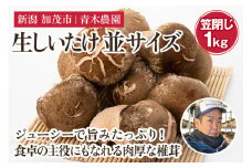 【2025年先行予約】生しいたけ 並サイズ（笠閉じ） 約1kg（23～35個）《11月上旬から順次出荷》 品評会で金賞受賞！ ききのこ しいたけ 椎茸 特大 食べ応えある大きさ 肉厚で旨味たっぷり！ 加茂市 青木農園