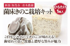 【2025年先行予約】菌床きのこ栽培キット ひらたけ 1株入り《10月上旬から順次発送》栽培キット 自家栽培 きのこ ひらたけ 栽培 初心者でも簡単 自宅 菌床 加茂市 青木農園