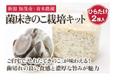 【2025年先行予約】菌床きのこ栽培キット ひらたけ 2株入り《10月上旬から順次発送》栽培キット 自家栽培 きのこ ひらたけ 栽培 初心者でも簡単 自宅 菌床 加茂市 青木農園