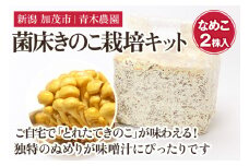 【2025年先行予約】菌床きのこ栽培キット なめこ 2株入り《10月上旬から順次発送》栽培キット 自家栽培 きのこ なめこ 栽培 初心者でも簡単 自宅 菌床 加茂市 青木農園