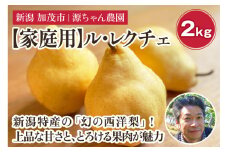 【2024年】新潟特産 幻の洋梨 ル・レクチェ 2kg 【家庭用】（5～7玉）｟11月下旬から順次発送｠果物 フルーツ 新潟特産 加茂市産ル・レクチェ  梨 西洋梨 加茂市 源ちゃん農園