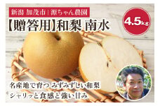 和梨 南水 4.5kg ｟贈答用｠（12〜16玉）《9月中旬から順次発送》果物 フルーツ 梨 みずみずしい和梨 南水 デザート 加茂市 源ちゃん農園