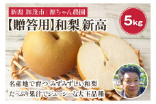 和梨 新高 5kg ｟贈答用｠（6〜10玉）《10月上旬から順次発送》果物 フルーツ 梨 みずみずしい和梨 にいたか デザート 加茂市 源ちゃん農園