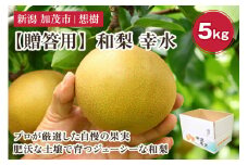 【2025年先行予約】【贈答用】新潟県産和梨 幸水 約5㎏（10〜14玉） 《8月下旬から順次発送》梨 なし ナシ 幸水 こうすい  果物 果樹 フルーツ 樹上完熟 加茂果樹専門家集団 加茂市 想樹