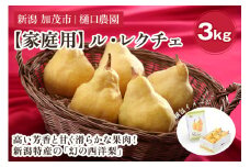 【2024年】【家庭用】西洋梨 ル・レクチェ 3kg（7～11玉） 《11月下旬から順次発送》 果物 梨 洋梨 西洋梨 フルーツ 訳あり 冬の味覚 デザート 産地直送 加茂市 樋口農園