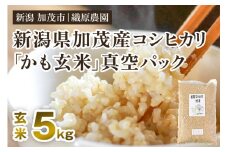 【令和6年産米】新潟産コシヒカリ「かも米」玄米5kg （5kg×1袋）真空パック 【無農薬・無化学肥料】 従来品種コシヒカリ 加茂市 織原農園