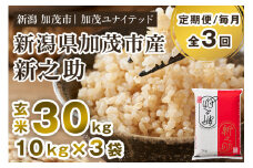 【令和7年産新米先行予約】【定期便3ヶ月毎月お届け】新潟県産 新之助 玄米30kg 《10kg×3袋》《10月上旬から順次発送》 新潟 ブランド米 加茂市 加茂ユナイテッド