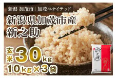 【令和7年産新米先行予約】新潟県産 新之助 玄米30kg 《10kg×3袋》《10月上旬から順次発送》 新潟 ブランド米 加茂市 加茂ユナイテッド