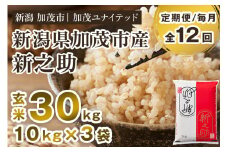 【令和7年産新米先行予約】【定期便12ヶ月毎月お届け】新潟県産 新之助 玄米30kg 《10kg×3袋》《10月上旬から順次発送》 新潟 ブランド米 加茂市 加茂ユナイテッド