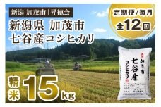 【令和6年産米】【定期便12ヶ月毎月お届け】新潟県加茂市 七谷産コシヒカリ 精米15kg（5kg×3） 白米 高柳地域産数量限定 昇徳会