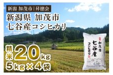 【令和6年産米】新潟県加茂市 七谷産コシヒカリ 精米20kg（5kg×4） 白米 高柳地域産数量限定 昇徳会