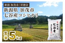 【令和6年産米】新潟県加茂市 七谷産コシヒカリ 玄米5kg 高柳地域産数量限定 昇徳会