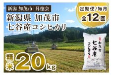 【令和6年産米】【定期便12ヶ月毎月お届け】新潟県加茂市 七谷産コシヒカリ 精米20kg（5kg×4） 白米 高柳地域産数量限定 昇徳会