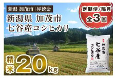 【令和6年産米】【定期便3回隔月お届け】新潟県加茂市 七谷産コシヒカリ 精米20kg（5kg×4） 白米 高柳地域産数量限定 昇徳会