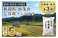 【令和6年産米】【定期便3回毎月お届け】新潟県加茂市 七谷産コシヒカリ 玄米5kg 高柳地域産数量限定 昇徳会