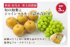 【2025年先行予約】旬の和梨とシャインマスカット詰め合わせ 合計3kg（和梨2kg シャインマスカット2房1kg） 《9月中旬から順次発送開始》 果物 食べ比べ フルーツセット フルーツ ギフト  新潟産 ぶどう 梨 和梨  加茂市 新太郎農園