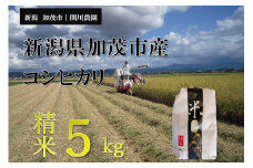 【令和7年産新米先行予約】加茂市産コシヒカリ 精米5kg 《9月下旬から順次出荷 コシヒカリ 新潟産 米  お米 白米  加茂市 関川農園