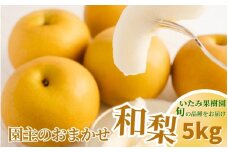 新潟県産 和梨 おまかせ5kg 【7品種から旬の和梨5kgをお届け！】 園主おすすめ厳選和梨 （ 幸水・秋麗・豊水・あきづき・新美月・新王・新興） 《8月下旬から順次発送》 旬の和梨をお届け おまかせ フルーツ 果物 加茂市 いたみ果樹園