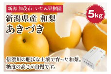 【2025年先行予約】新潟県産 厳選 和梨  あきづき 5kg（8～12玉）《9月上旬以降発送》果物 フルーツ  加茂市 いたみ果樹園       