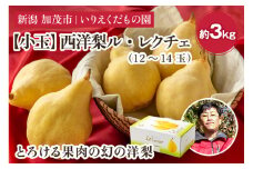 【2024年】【小玉】 西洋梨ル・レクチェ 約3㎏ （12～14玉） 《11月下旬以降発送》幻の洋梨 フルーツ 果物 贈答 新潟の冬の味覚 加茂市 いりえくだもの園