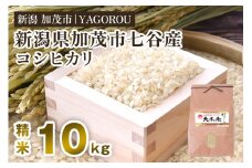 【令和7年産新米先行予約】新潟県加茂市 七谷産コシヒカリ 精米10kg 《10月中旬～順次発送》 新潟産コシヒカリ 豊かな山水で育った天水米 加茂市 YAGOROU ヤゴロウ