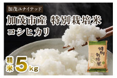 【令和7年産新米】加茂市産 特別栽培米 コシヒカリ 精米5kg 《10月中旬～順次出荷》 栽培期間中は化学肥料・農薬不使用 新潟米 お米 白米 こしひかり 加茂ユナイテッド