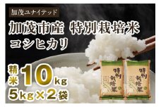 【令和6年産米】加茂市産 特別栽培米 コシヒカリ 精米10kg 栽培期間中は化学肥料・農薬不使用 新潟米 お米 白米 こしひかり 加茂ユナイテッド