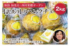 【2024年】【訳あり】西村の黒酢ミネラル栽培「ル・レクチェ」（小玉） 2kg（8～9玉）《11月下旬〜順次発送》 幻の西洋梨 梨 果実 フルーツ 冬の味覚 加茂市 西村果樹ガーデン