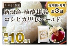 【定期便3回毎月お届け】新潟産コシヒカリ「伝ゴールド」白米真空パック 精米10kg（2kg×5）南麻布の高級料亭で提供される極上米 かやもり農園 定期便