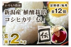 【令和6年産米】【定期便12ヶ月毎月お届け】新潟産コシヒカリ「伝」真空パック 玄米2kg 南麻布の高級料亭で提供される極上米 かやもり農園