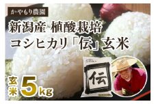 【令和6年産米】新潟産コシヒカリ「伝」真空パック 玄米5kg 南麻布の高級料亭で提供される極上米 かやもり農園