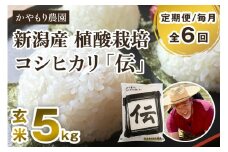 【令和6年産米】【定期便6ヶ月毎月お届け】新潟産コシヒカリ「伝」真空パック 玄米5kg 南麻布の高級料亭で提供される極上米 かやもり農園