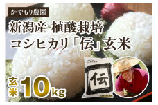 【令和7年産新米】新潟産コシヒカリ「伝」真空パック 玄米10kg（5kg×2）《9月下旬～順次出荷》 南麻布の高級料亭で提供される極上米 かやもり農園