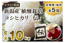 【令和6年産米】【定期便5ヶ月毎月お届け】新潟産コシヒカリ「伝」真空パック 玄米10kg（5kg×2） 南麻布の高級料亭で提供される極上米 かやもり農園