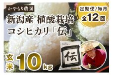 【令和6年産米】【定期便12ヶ月毎月お届け】新潟産コシヒカリ「伝」真空パック 玄米10kg（5kg×2） 南麻布の高級料亭で提供される極上米 かやもり農園